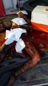 Ragazzo ferito dalle forze israeliane durante l'attacco dello scorso anno su Gaza sul pavimento dell'ambulanza