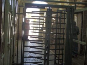 I soldati israeliani costringono gli uomini palestinesi a stare contro il muro mentre cercano di andare alla moschea.